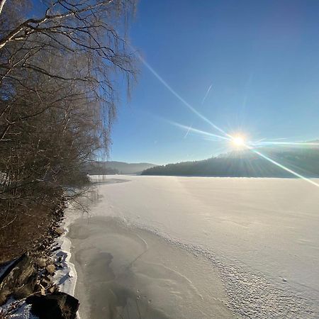 Apartman Verca Riviera Lipno 510 リプノ・ナト・ヴルタヴォウ エクステリア 写真