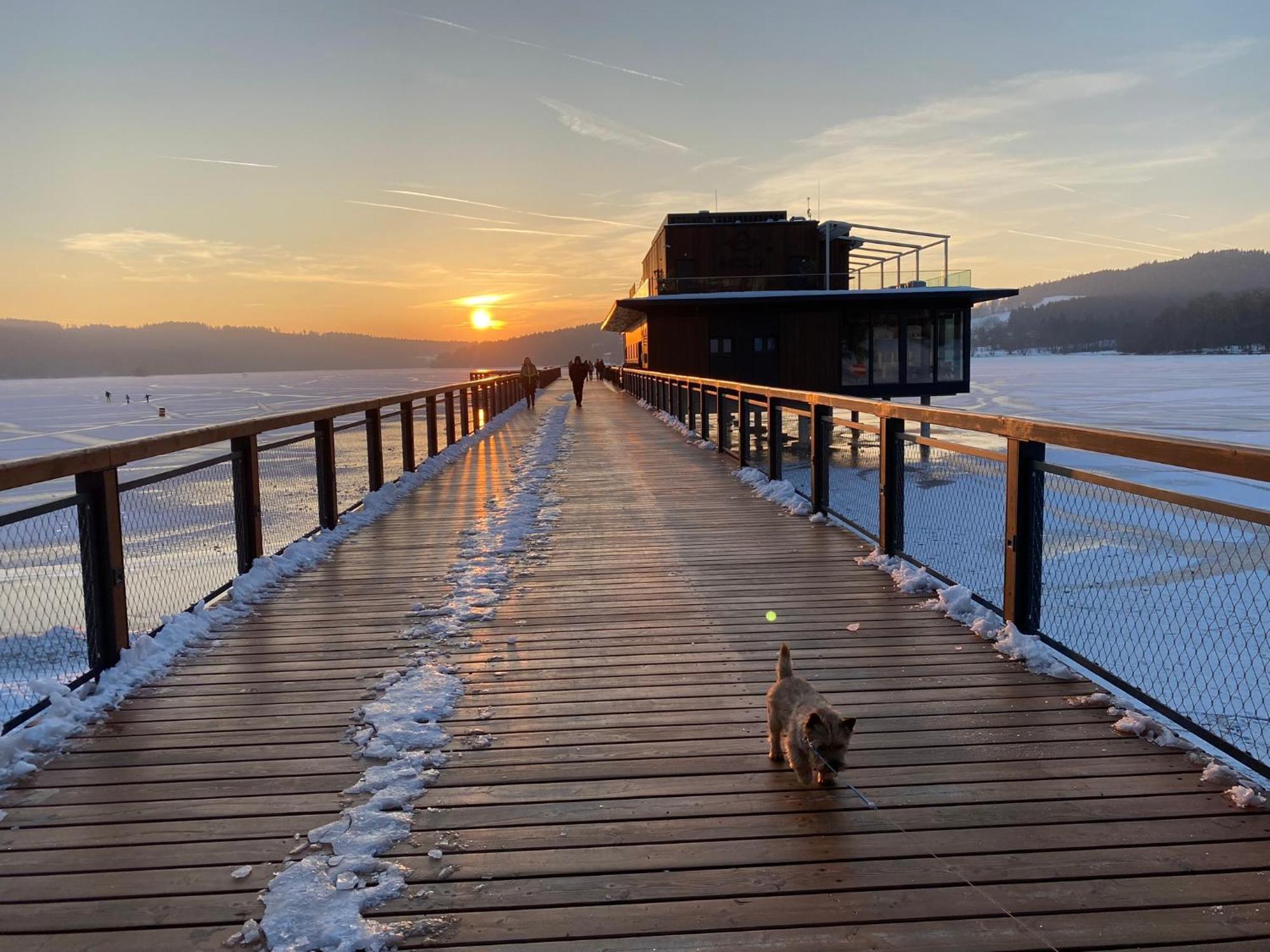 Apartman Verca Riviera Lipno 510 リプノ・ナト・ヴルタヴォウ エクステリア 写真