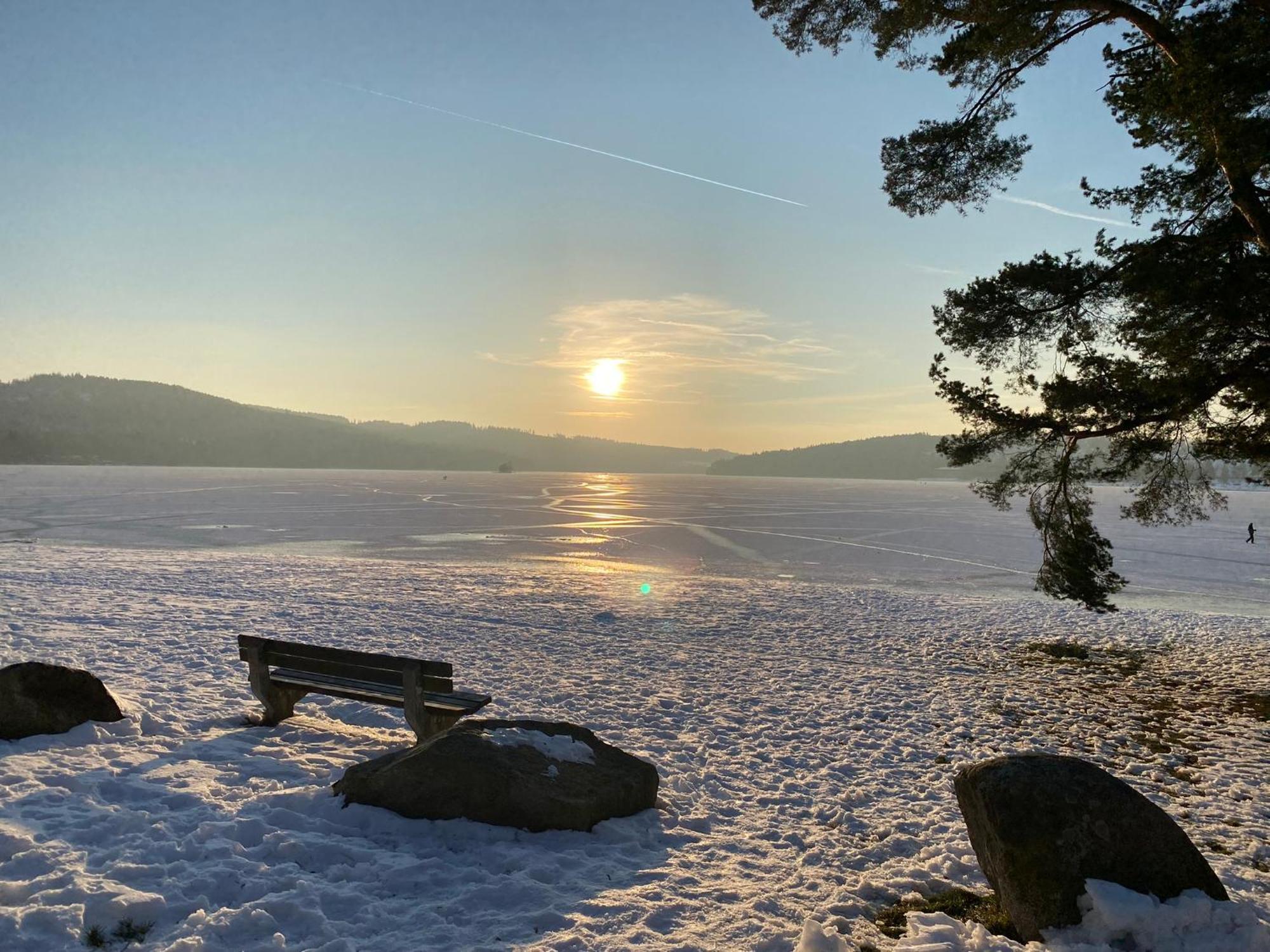 Apartman Verca Riviera Lipno 510 リプノ・ナト・ヴルタヴォウ エクステリア 写真