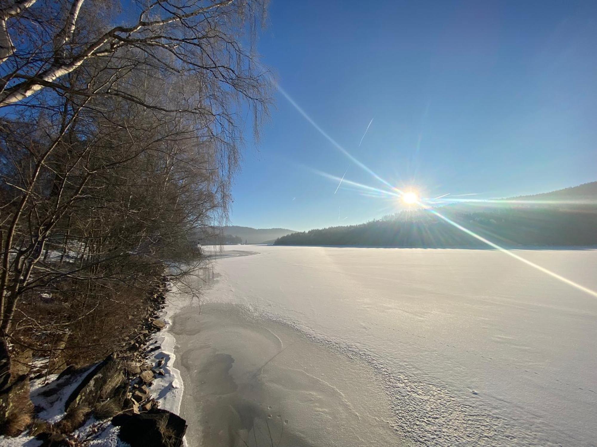 Apartman Verca Riviera Lipno 510 リプノ・ナト・ヴルタヴォウ エクステリア 写真