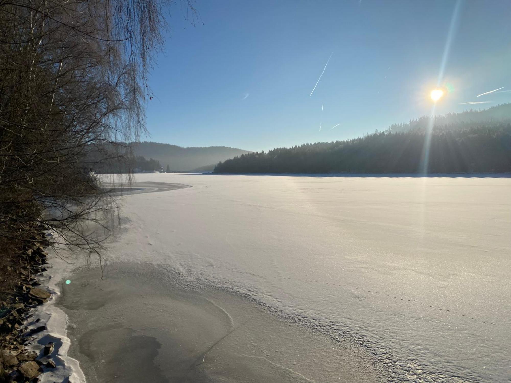 Apartman Verca Riviera Lipno 510 リプノ・ナト・ヴルタヴォウ エクステリア 写真