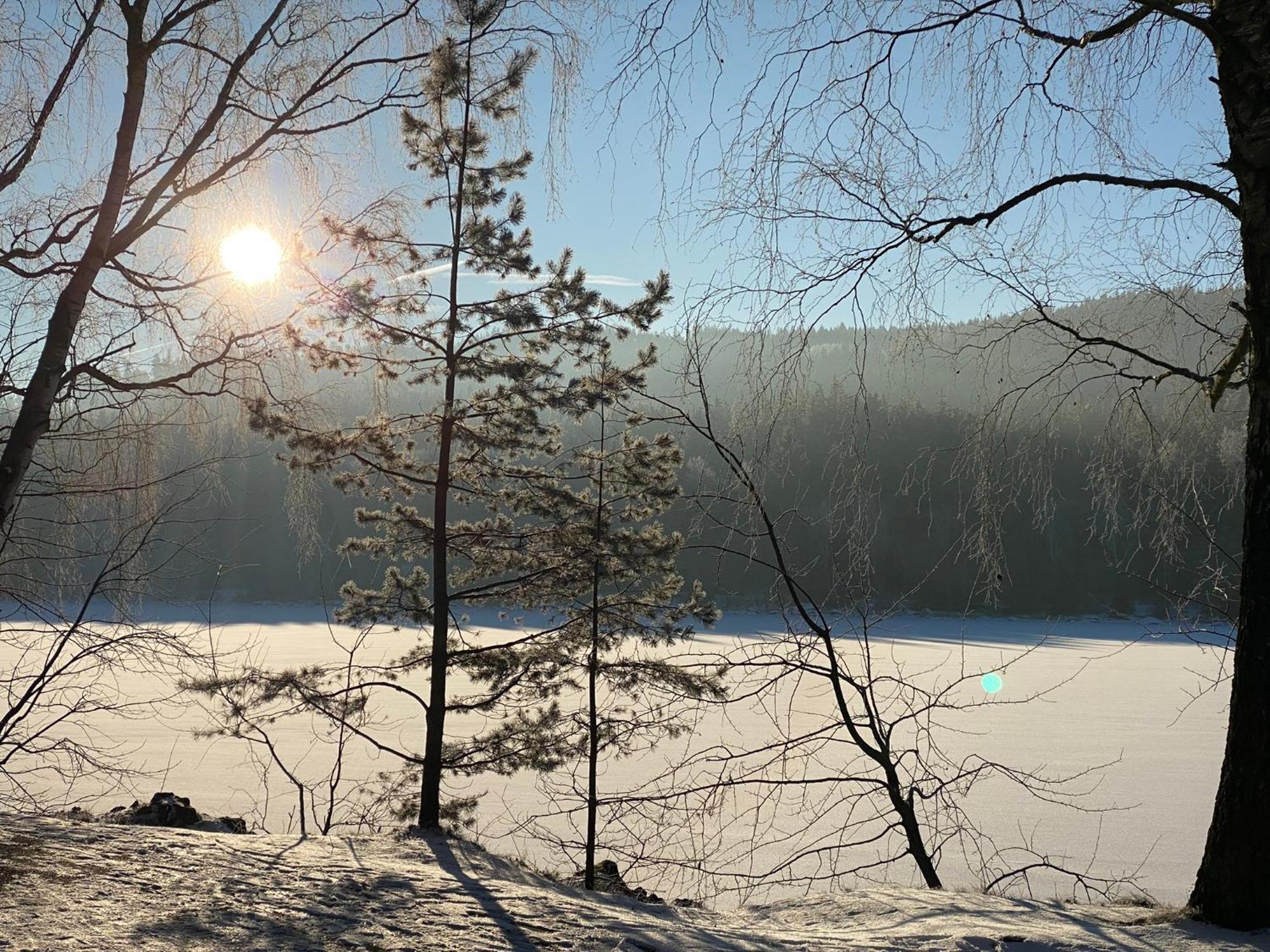 Apartman Verca Riviera Lipno 510 リプノ・ナト・ヴルタヴォウ エクステリア 写真